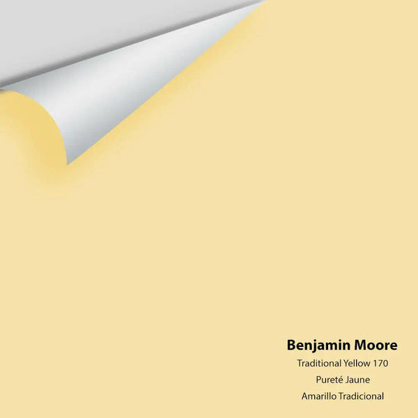 Big Paint Chip - Traditional Yellow 170