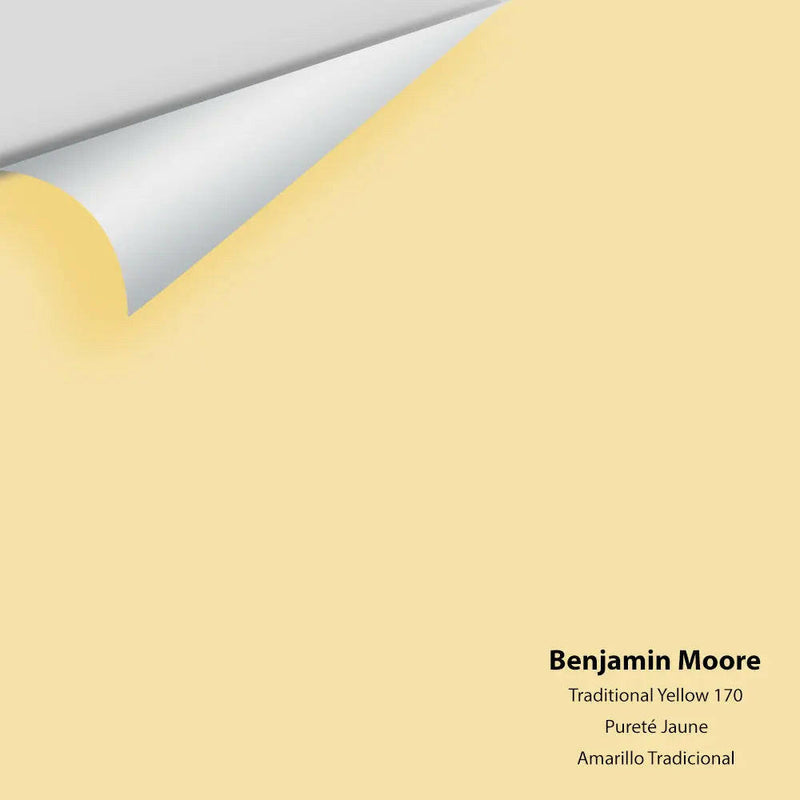 Big Paint Chip - Traditional Yellow 170