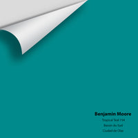 Benjamin Moore - Tropical Teal 734 Colour Sample