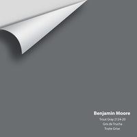 Benjamin Moore - Trout Gray 2124-20 Colour Sample