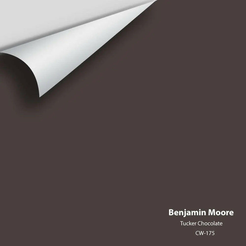 Benjamin Moore - Tucker Chocolate CW-175 Colour Sample