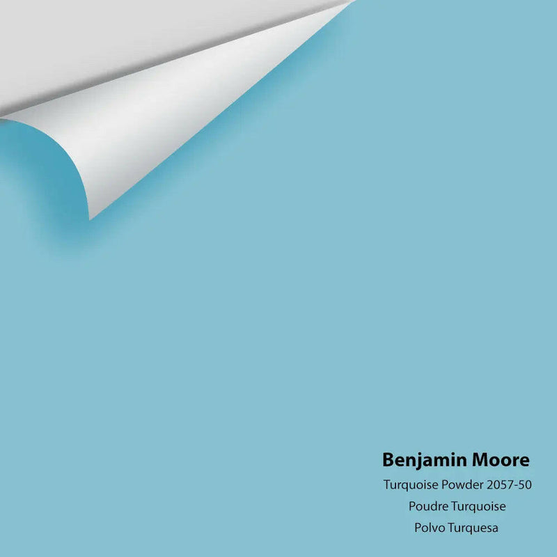 Big Paint Chip - Turquoise Powder 2057-50