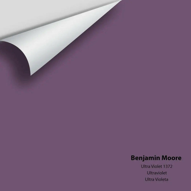 Big Paint Chip - Ultra Violet 1372 Benjamin Moore®