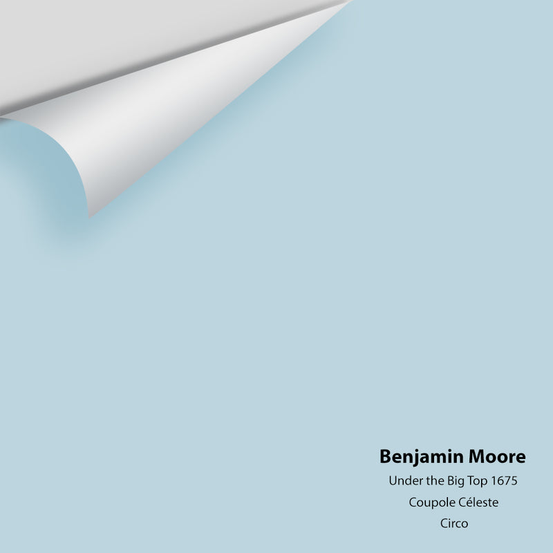 Benjamin Moore - Under the Big Top 1675 Colour Sample