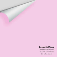 Big Paint Chip - Valentine's Day 2077-60