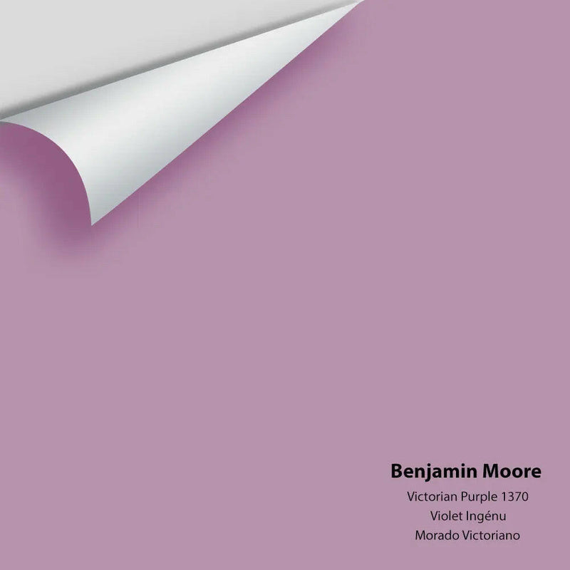 Big Paint Chip - Victorian Purple 1370 Benjamin Moore®