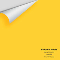 Big Paint Chip - Viking Yellow 321