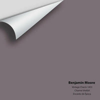 Big Paint Chip - Vintage Charm 1455 Benjamin Moore®