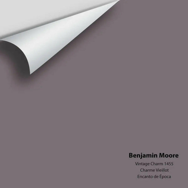 Big Paint Chip - Vintage Charm 1455 Benjamin Moore®