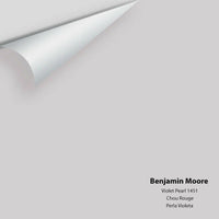 Big Paint Chip - Violet Pearl 1451 Benjamin Moore®