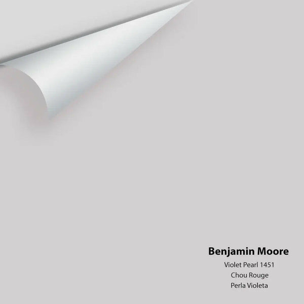 Big Paint Chip - Violet Pearl 1451 Benjamin Moore®