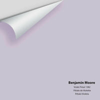 Big Paint Chip - Violet Petal 1382 Benjamin Moore®