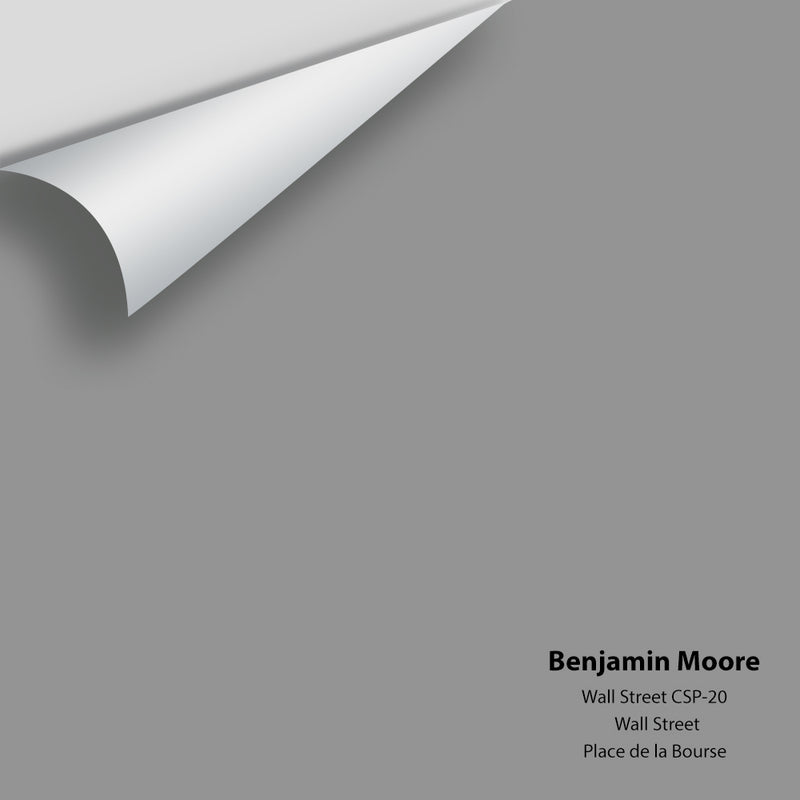 Benjamin Moore - Wall Street CSP-20 Colour Sample