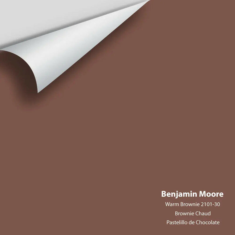 Big Paint Chip - Warm Brownie 2101-30