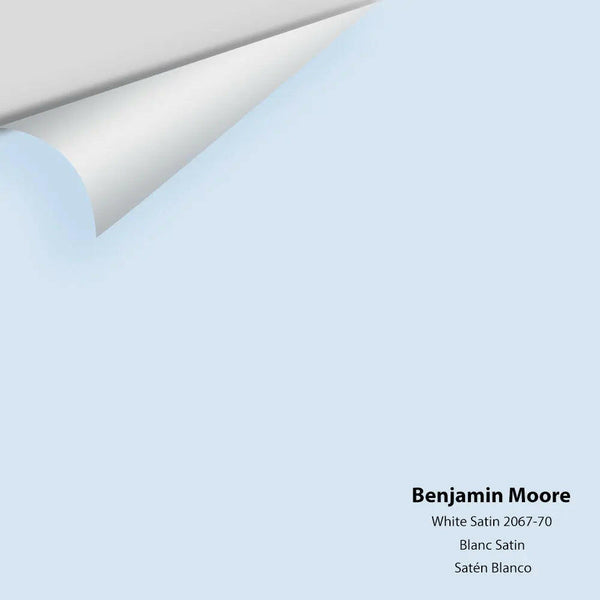 Big Paint Chip - White Satin 2067-70