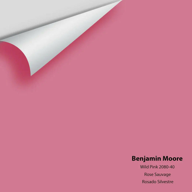 Big Paint Chip - Wild Pink 2080-40