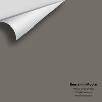 Benjamin Moore - Windy City CSP-150 Colour Sample