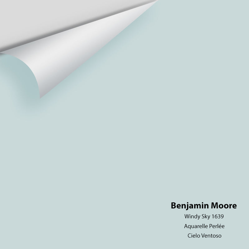 Benjamin Moore - Windy Sky 1639 Colour Sample