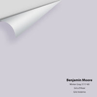 Benjamin Moore - Winter Gray 2117-60 Colour Sample