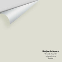 Benjamin Moore - Winter Orchard 1555 Colour Sample