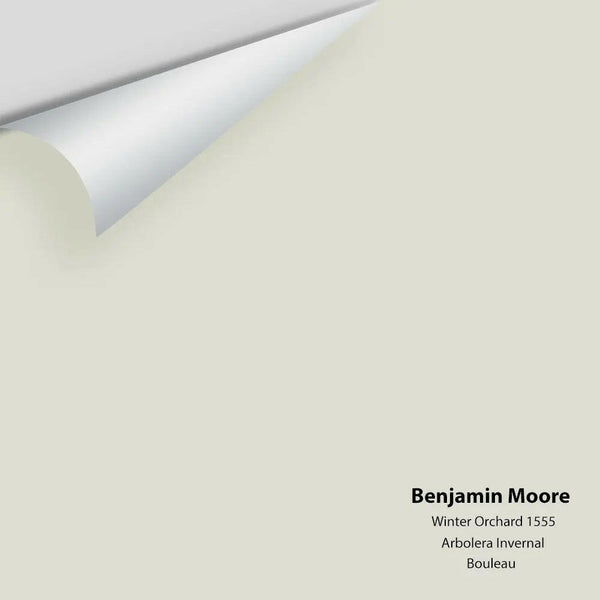 Benjamin Moore - Winter Orchard 1555 Colour Sample