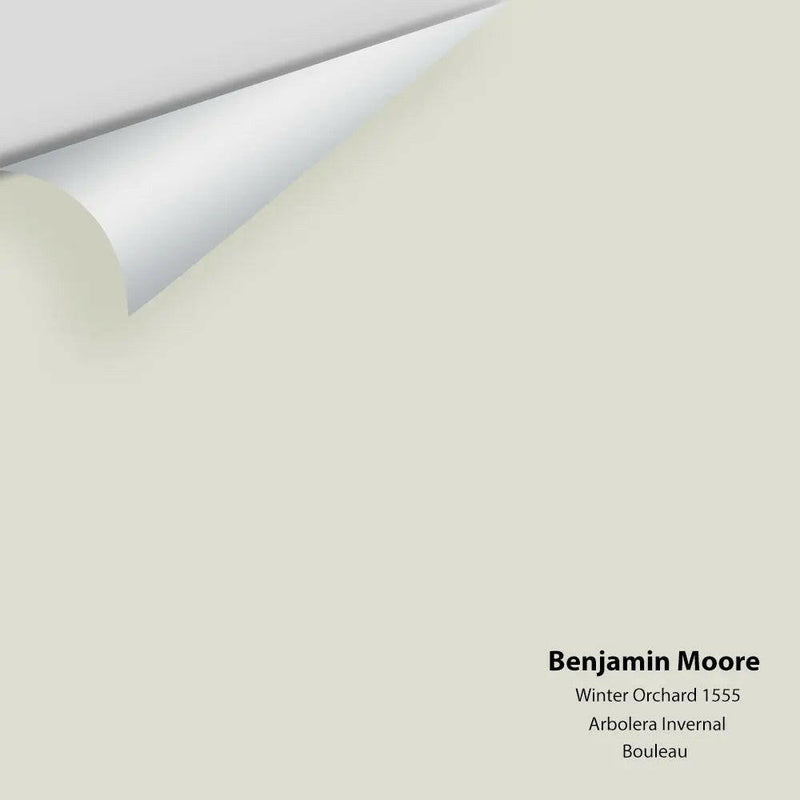 Benjamin Moore - Winter Orchard 1555 Colour Sample