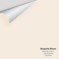Big Paint Chip - Winter Sky 2163-70