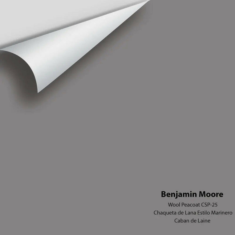 Benjamin Moore - Wool Peacoat CSP-25 Colour Sample