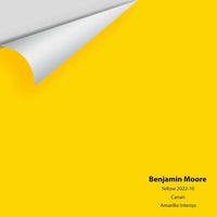 Big Paint Chip - Yellow 2022-10