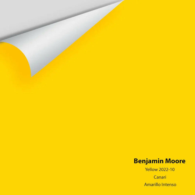 Big Paint Chip - Yellow 2022-10