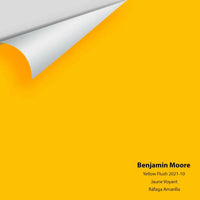 Big Paint Chip - Yellow Flash 2021-10