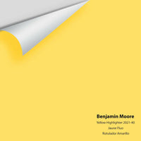 Big Paint Chip - Yellow Highlighter 2021-40