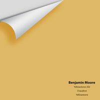 Benjamin Moore - Yellowstone 202 Colour Sample