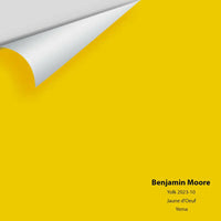 Big Paint Chip - Yolk 2023-10
