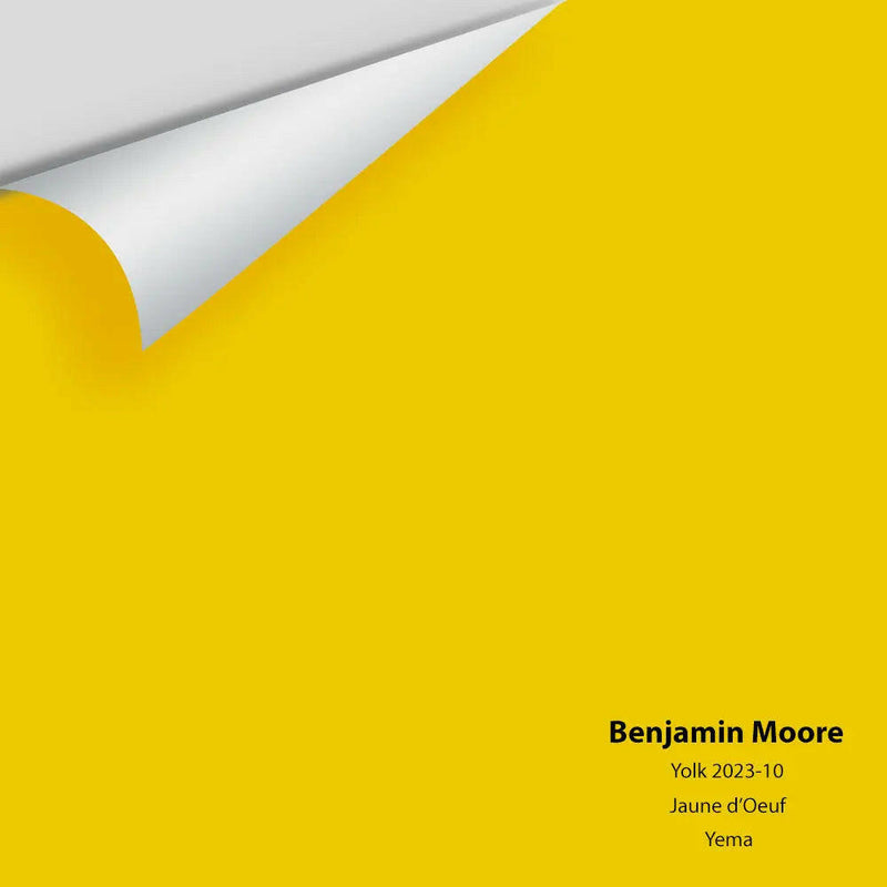 Big Paint Chip - Yolk 2023-10