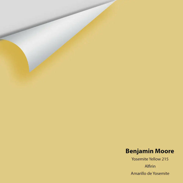 Big Paint Chip - Yosemite Yellow 215