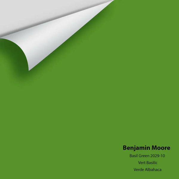 Big Paint Chip - Basil Green 2029-10