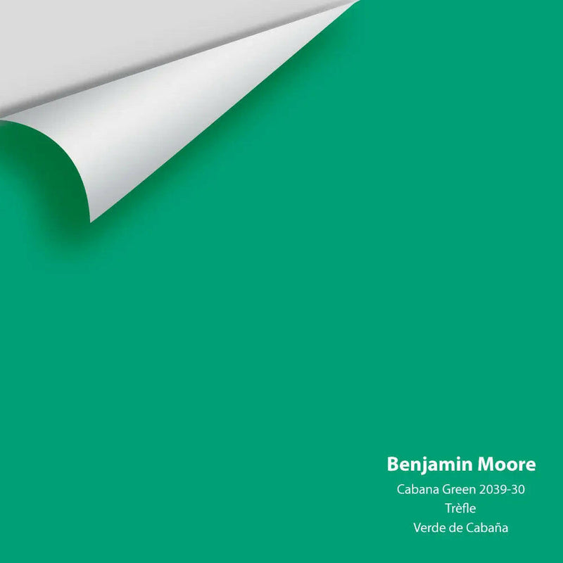 Big Paint Chip - Cabana Green 2039-30