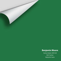 Big Paint Chip - Cactus Green 2035-20