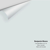 Big Paint Chip - Cascade White 2127-70