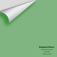 Big Paint Chip - Cedar Green 2034-40
