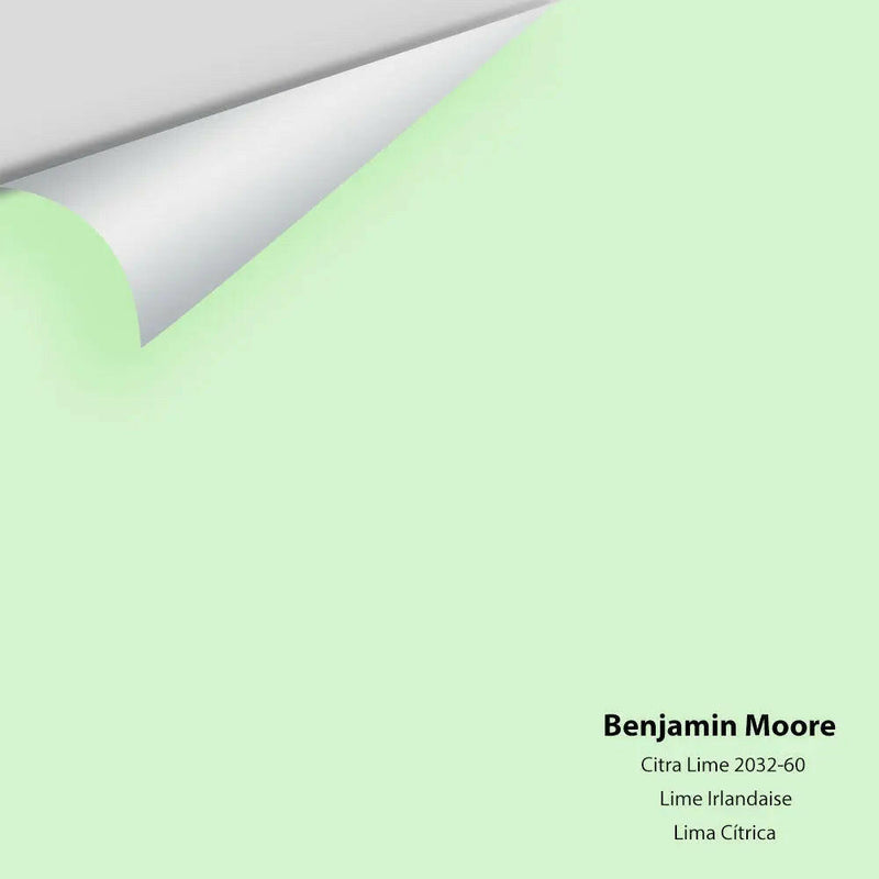 Big Paint Chip - Citra Lime 2032-60