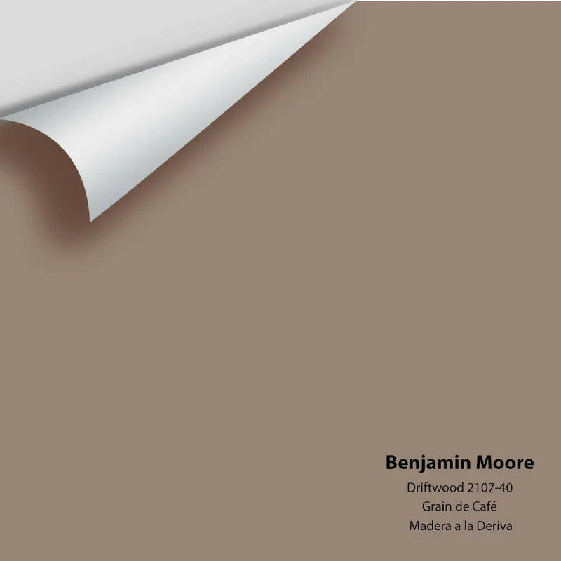 Big Paint Chip - Driftwood 2107-40