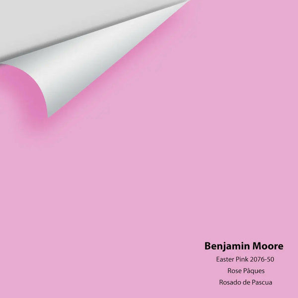 Big Paint Chip - Easter Pink 2076-50