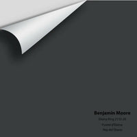 Benjamin Moore - Ebony King 2132-20 Colour Sample Benjamin Moore®