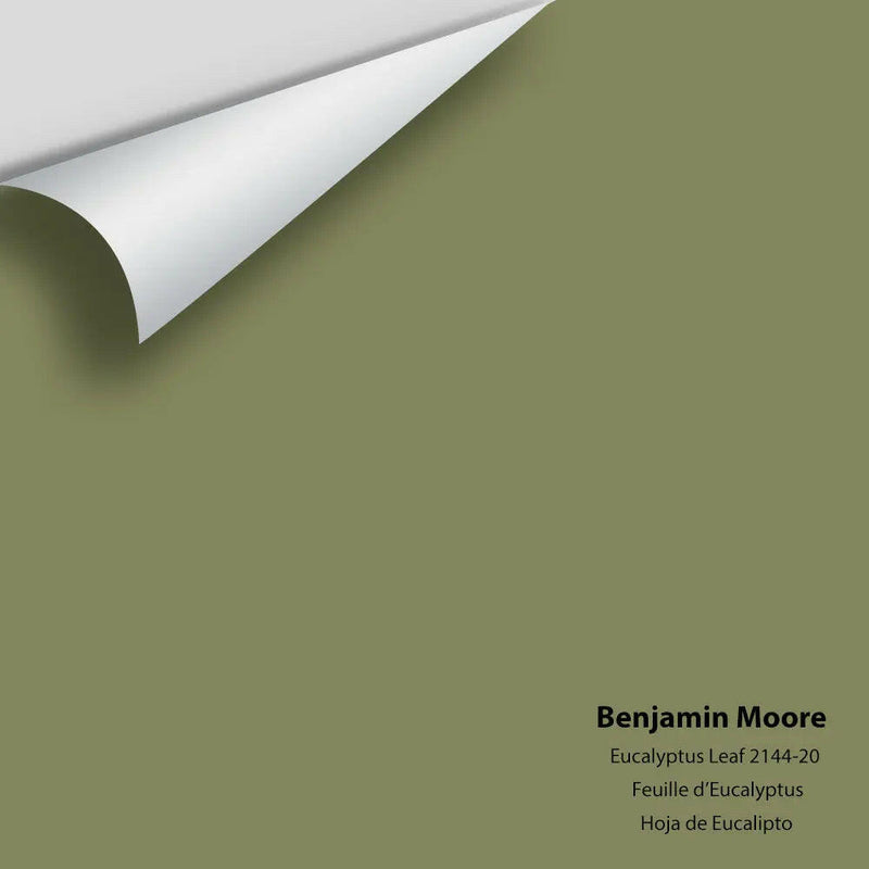 Big Paint Chip - Eucalyptus Leaf 2144-20