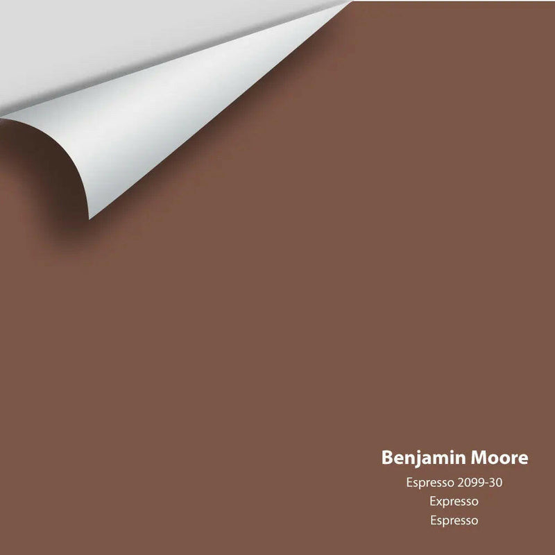 Benjamin Moore - Espresso 2099-30 Color Sample