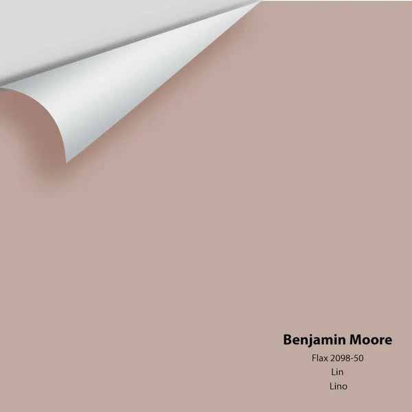 Big Paint Chip - Flax 2098-50