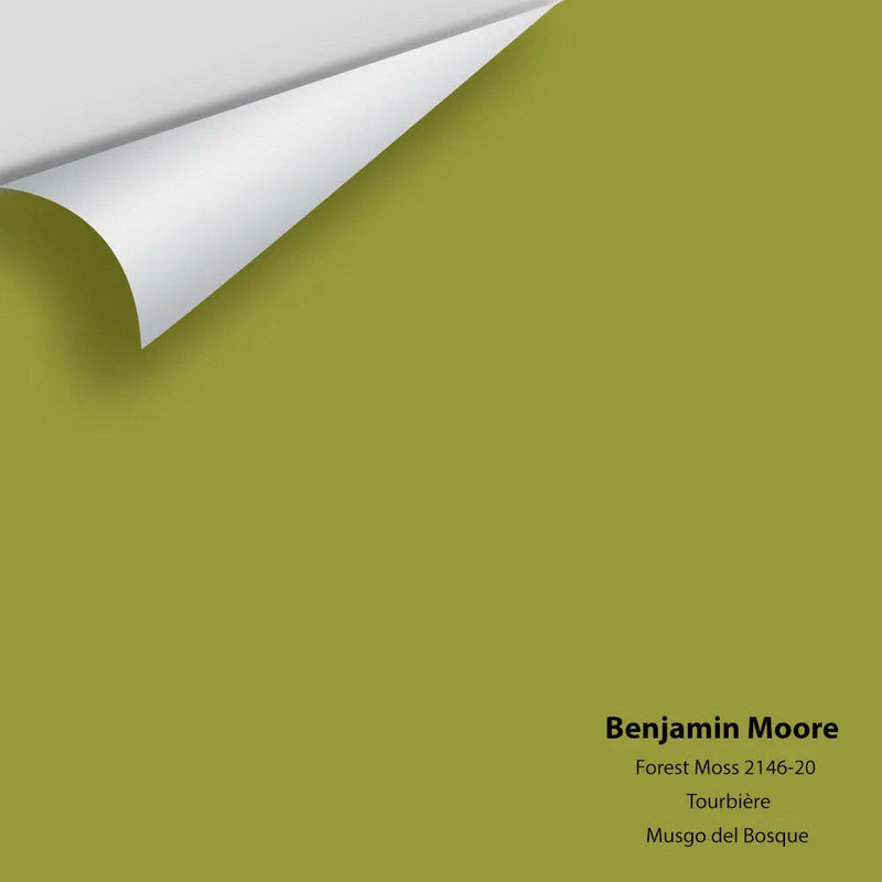 Big Paint Chip - Forest Moss 2146-20