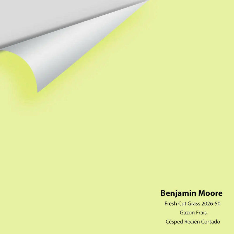 Big Paint Chip - Fresh Cut Grass 2026-50